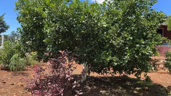 Plot for sale of 1,900 m² in Santo Antônio da Patrulha, RS, Brazil