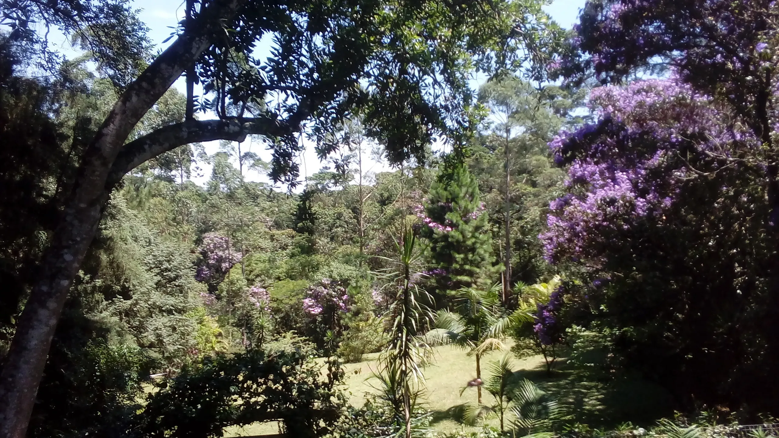 Chácara à venda de 4.200 m² em Mairiporã, SP, Brasil
