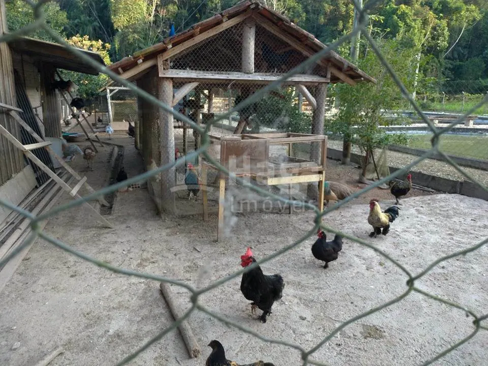 Farm for sale of 3,000 m² in Guabiruba, SC, Brazil