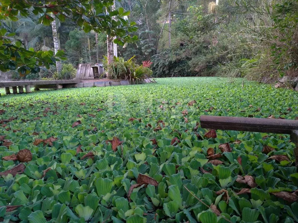 Farm for sale of 3,000 m² in Guabiruba, SC, Brazil
