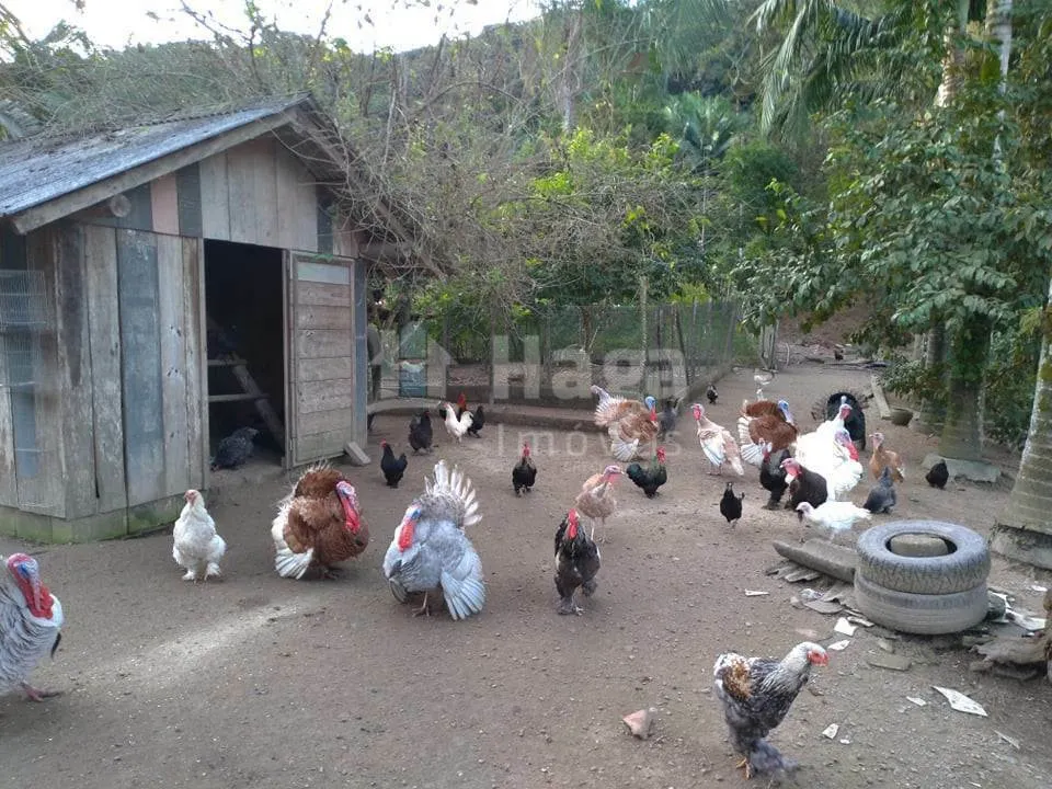 Farm for sale of 3,000 m² in Guabiruba, SC, Brazil