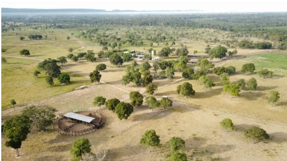 Farm for sale of 3,212 acres in Cáceres, MT, Brazil