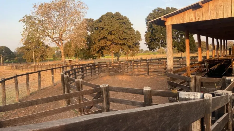 Farm for sale of 3,212 acres in Cáceres, MT, Brazil