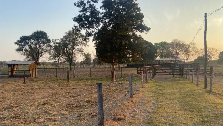 Farm for sale of 3,212 acres in Cáceres, MT, Brazil