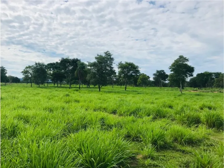 Farm for sale of 3,212 acres in Cáceres, MT, Brazil