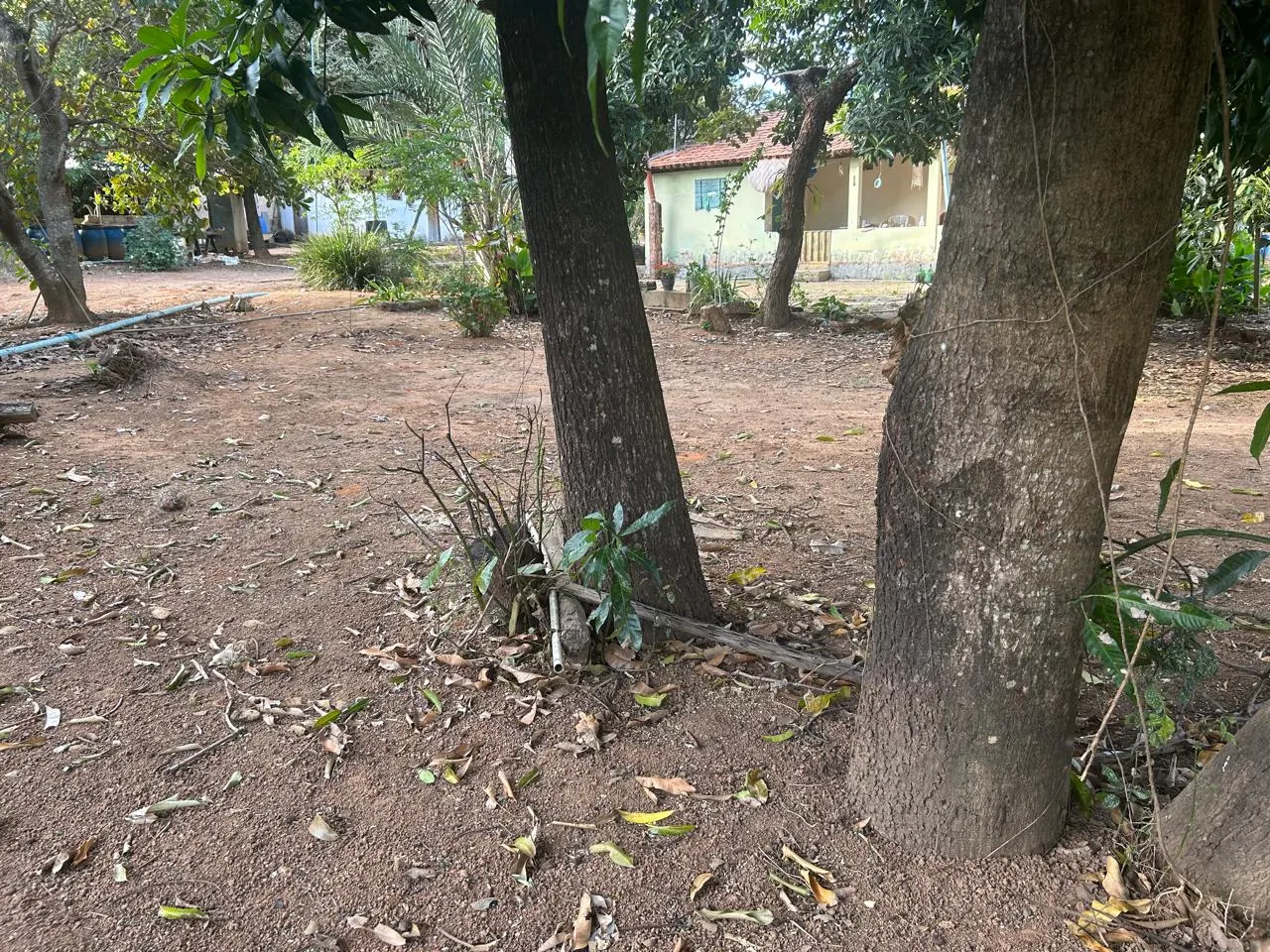 Fazenda à venda de 220 ha em Grão Mogol, MG, Brasil
