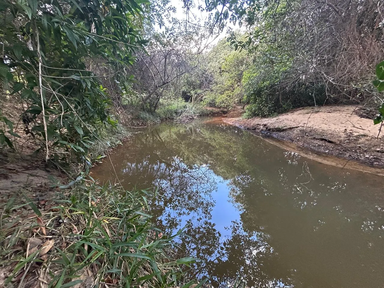 Fazenda à venda de 220 ha em Grão Mogol, MG, Brasil