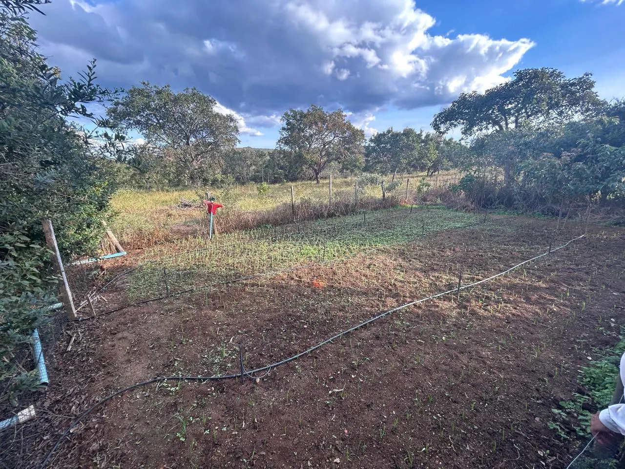 Fazenda à venda de 220 ha em Grão Mogol, MG, Brasil