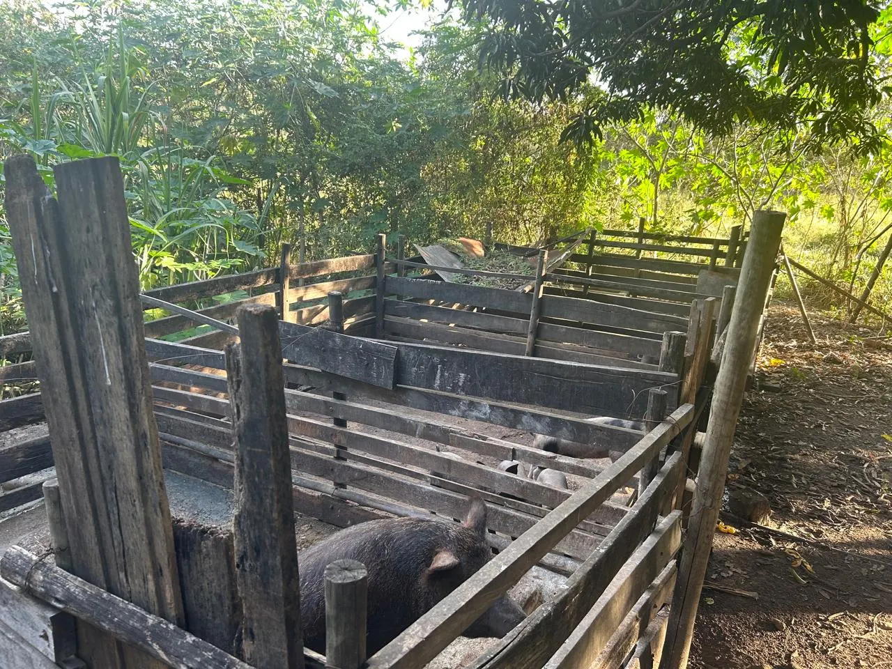 Fazenda à venda de 220 ha em Grão Mogol, MG, Brasil