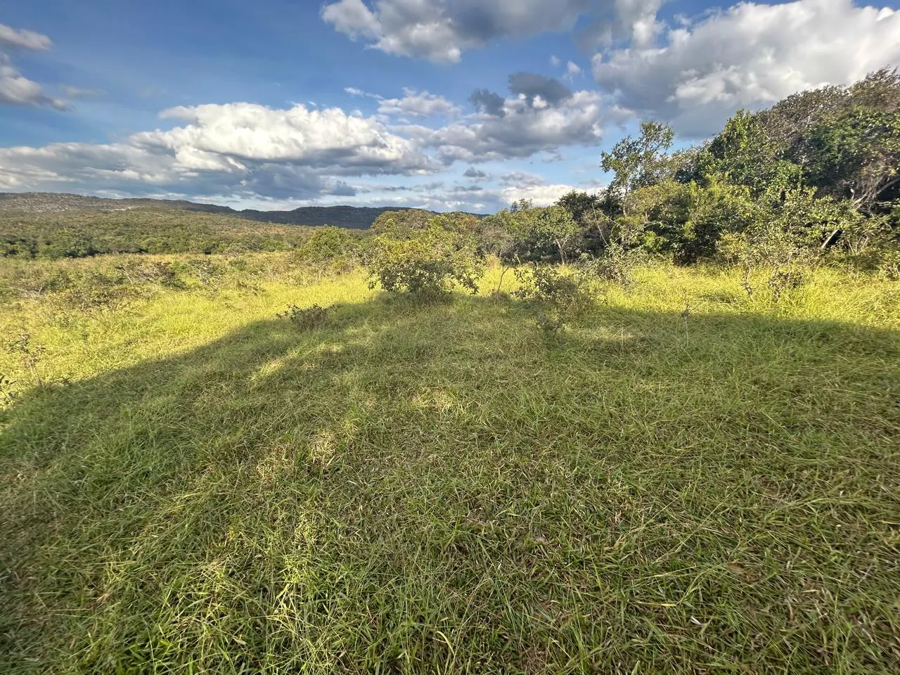 Fazenda à venda de 220 ha em Grão Mogol, MG, Brasil
