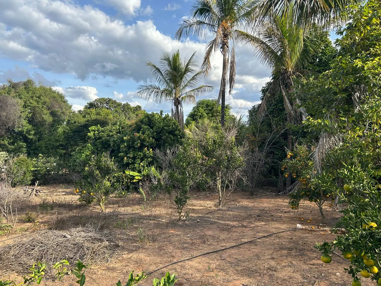 Fazenda à venda de 220 ha em Grão Mogol, MG, Brasil