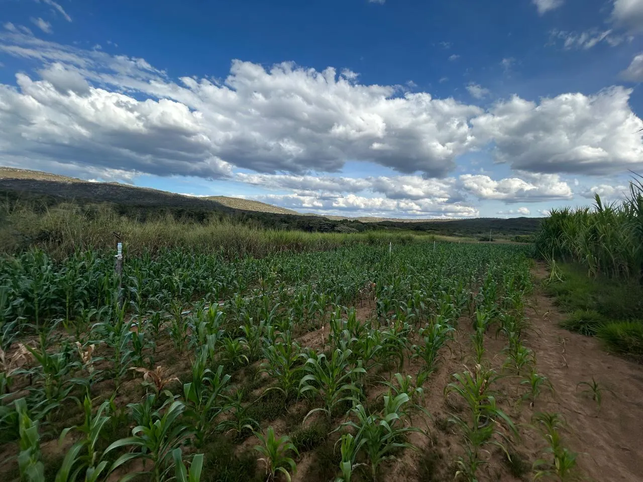 Fazenda à venda de 220 ha em Grão Mogol, MG, Brasil