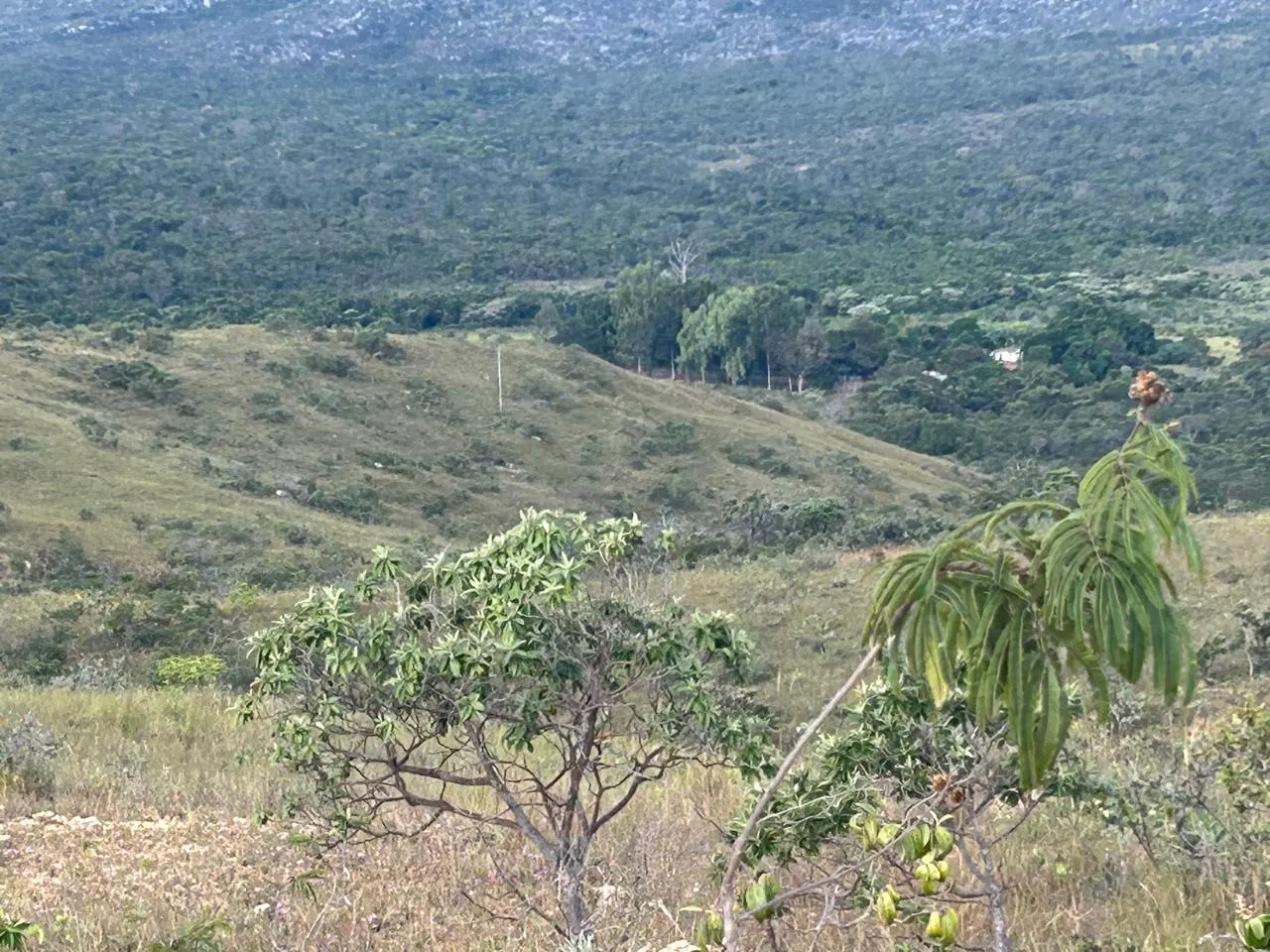 Fazenda à venda de 220 ha em Grão Mogol, MG, Brasil