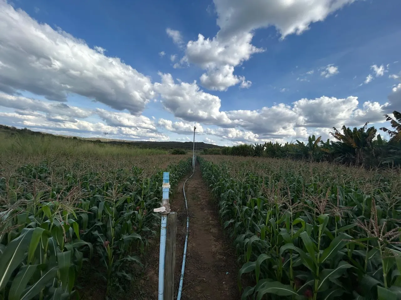 Fazenda à venda de 220 ha em Grão Mogol, MG, Brasil