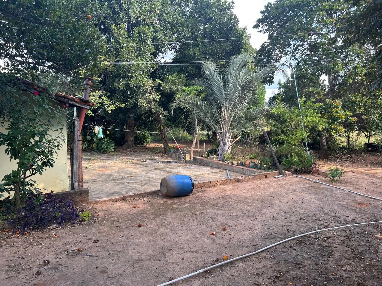 Fazenda à venda de 220 ha em Grão Mogol, MG, Brasil