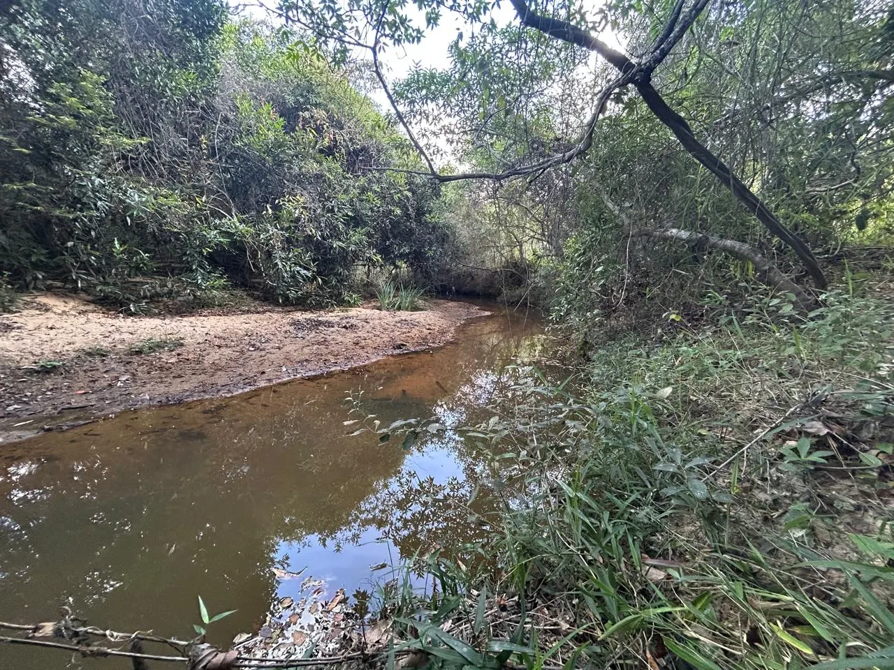 Fazenda à venda de 220 ha em Grão Mogol, MG, Brasil