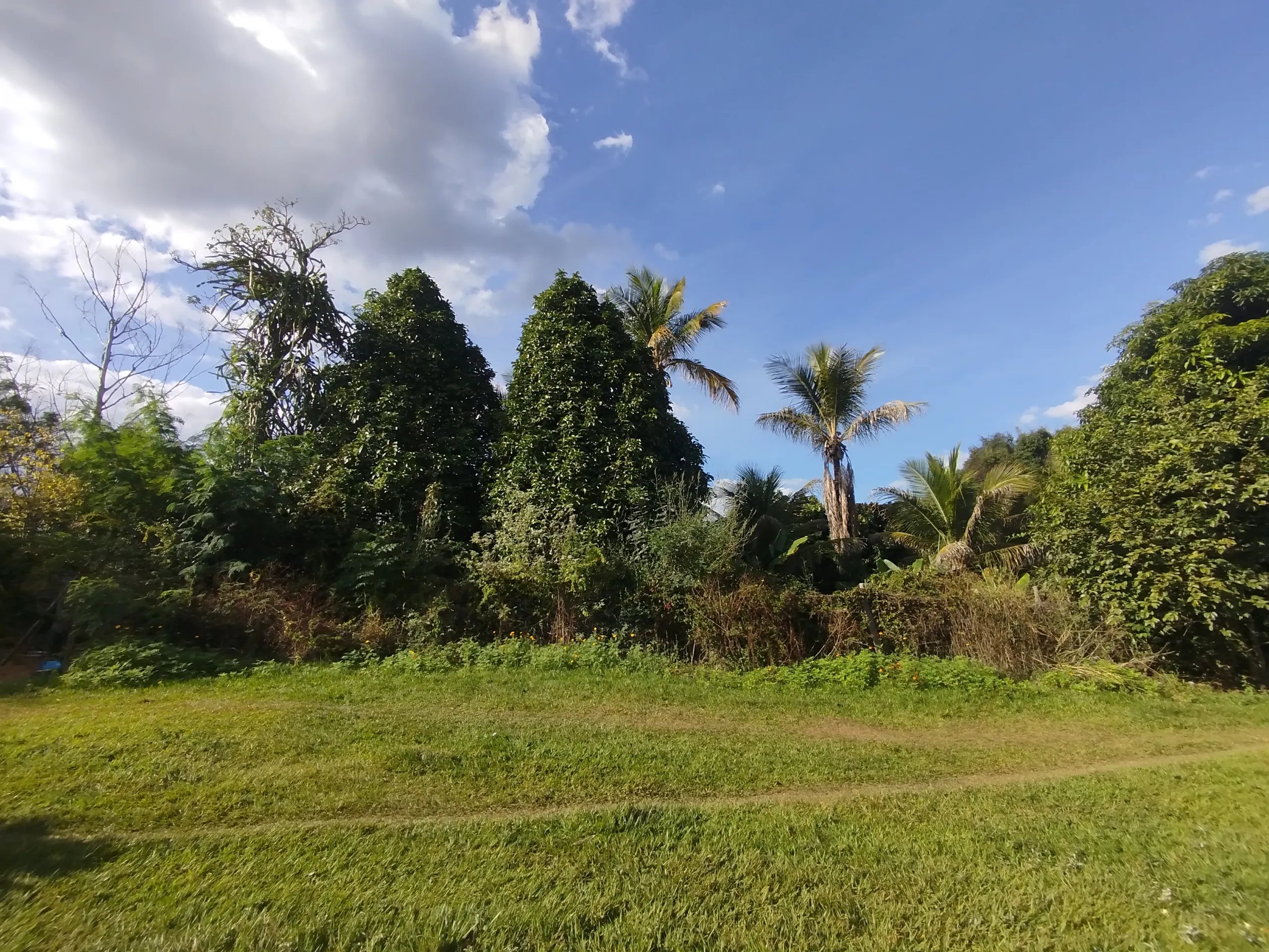 Fazenda à venda de 220 ha em Grão Mogol, MG, Brasil