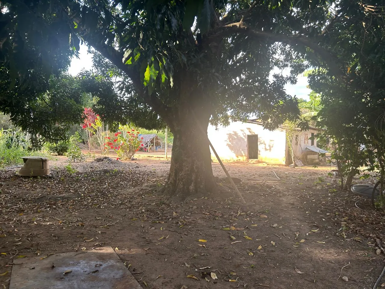 Fazenda à venda de 220 ha em Grão Mogol, MG, Brasil