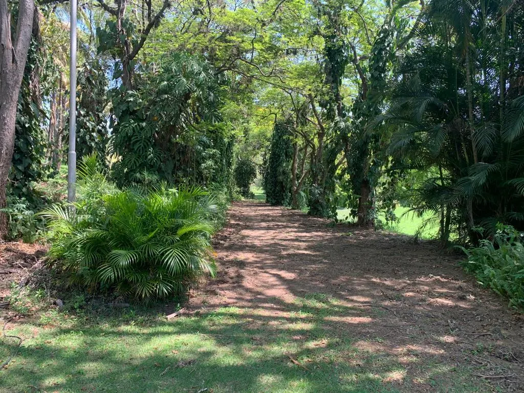Sítio à venda de 21 ha em Jundiaí, SP, Brasil