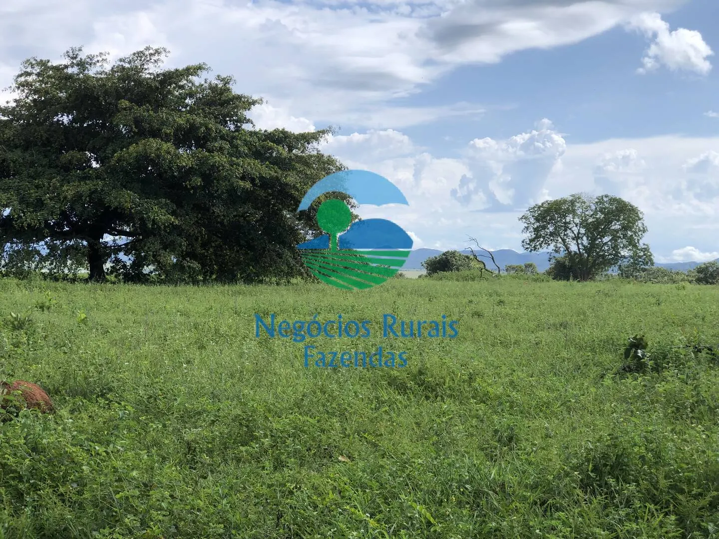 Fazenda à venda de 363 ha em Niquelândia, GO, Brasil