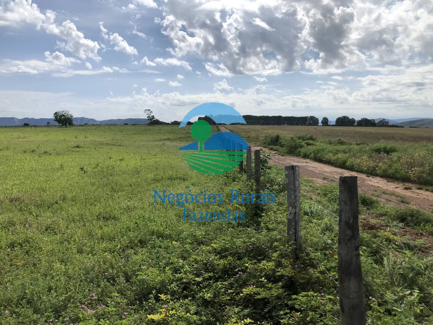 Fazenda à venda de 363 ha em Niquelândia, GO, Brasil