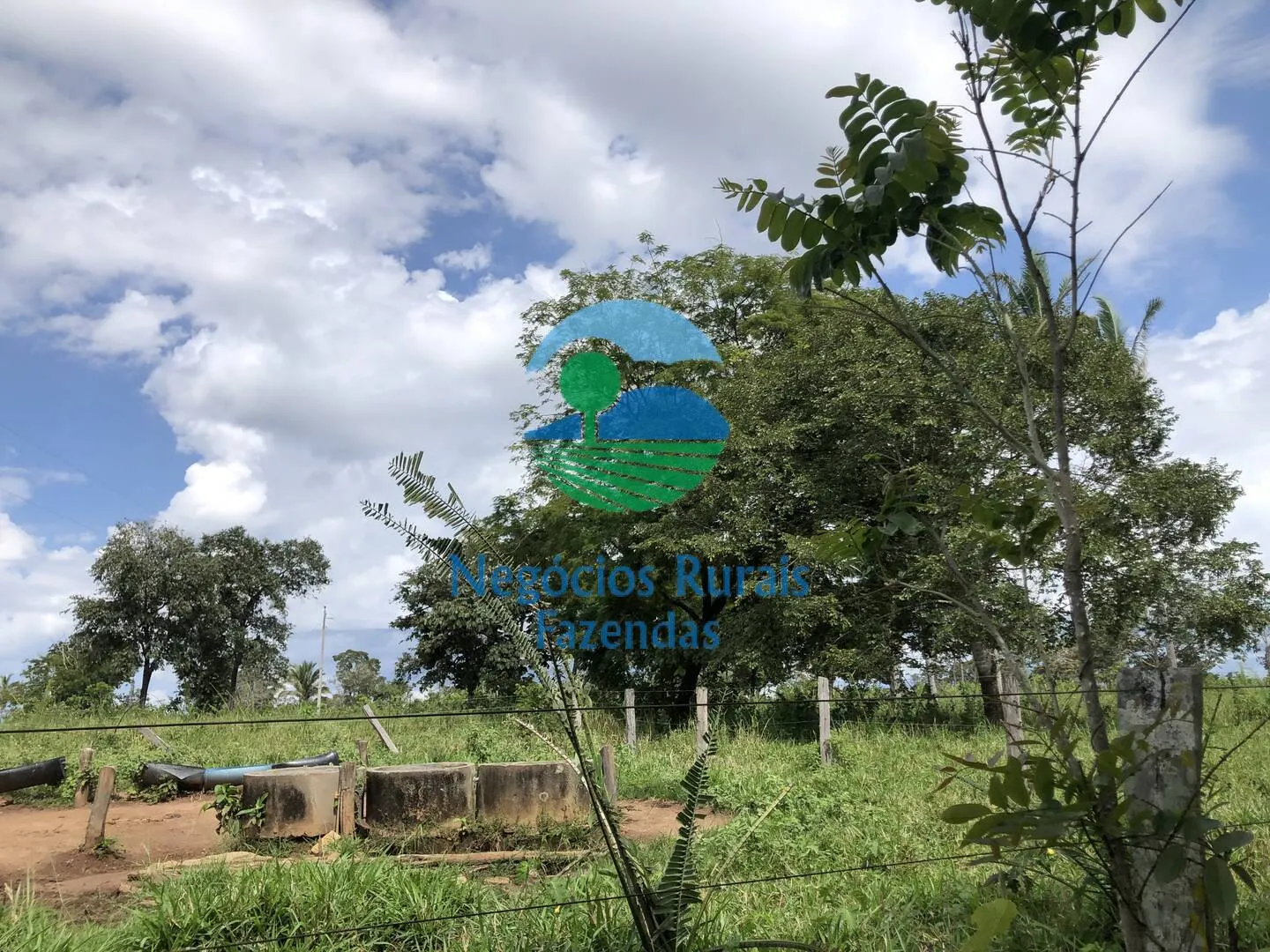 Fazenda à venda de 363 ha em Niquelândia, GO, Brasil
