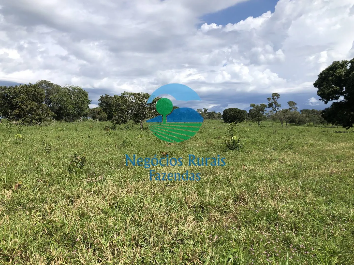 Fazenda à venda de 363 ha em Niquelândia, GO, Brasil