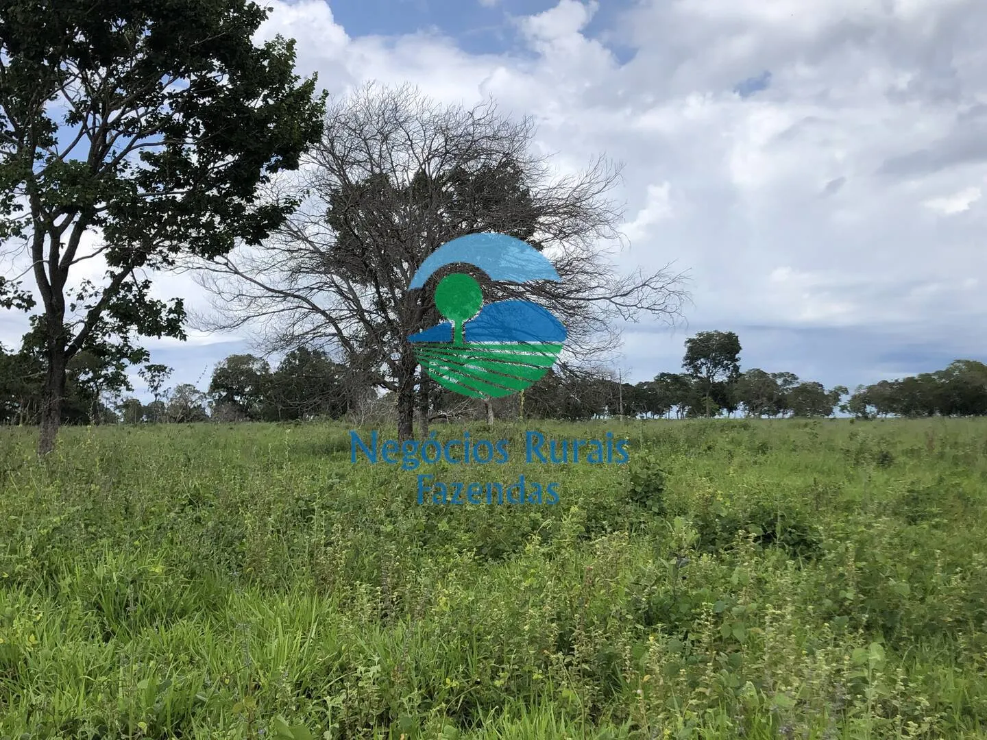 Fazenda à venda de 363 ha em Niquelândia, GO, Brasil