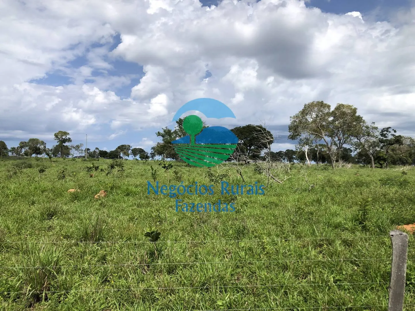 Fazenda à venda de 363 ha em Niquelândia, GO, Brasil