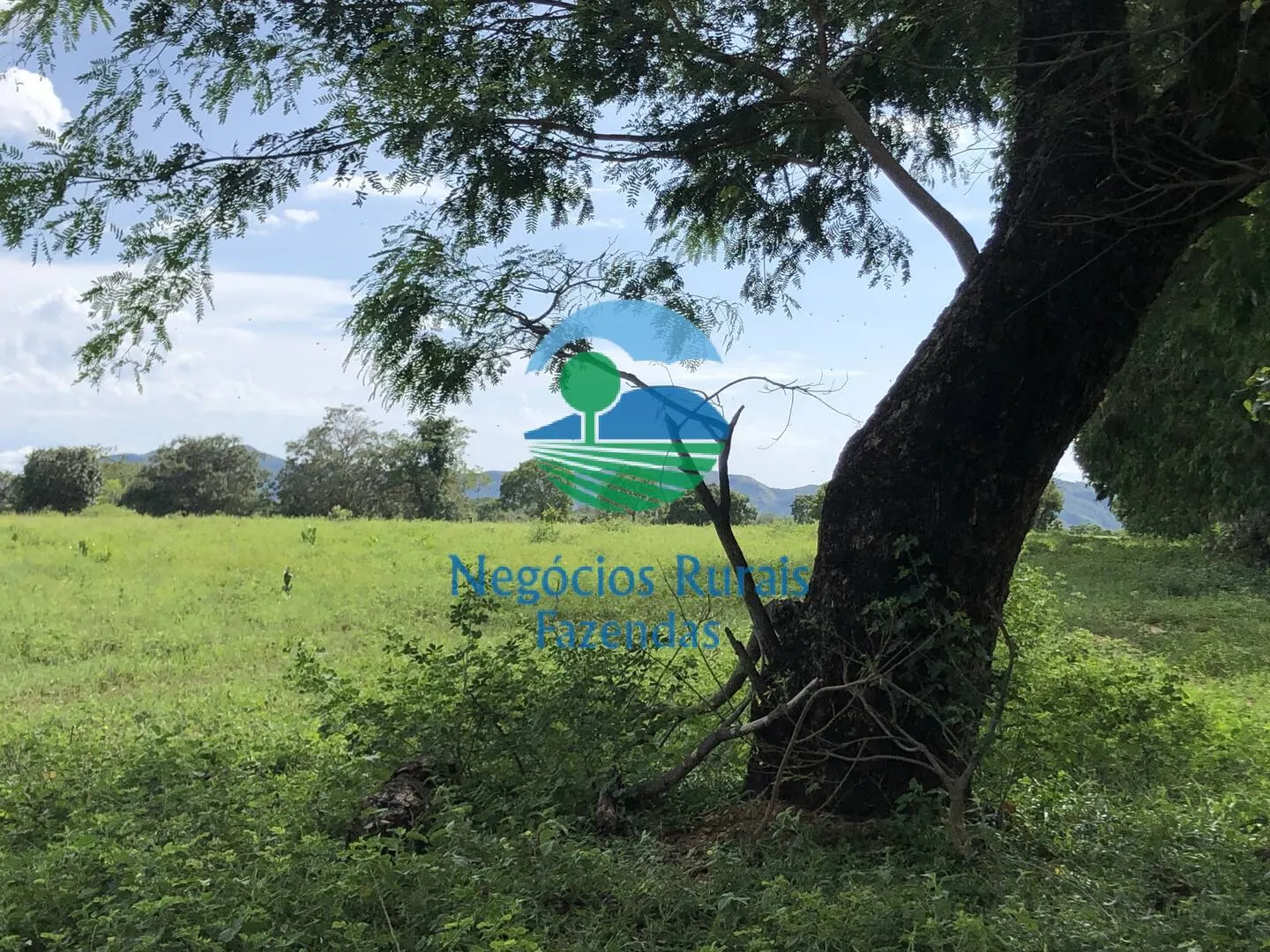 Fazenda à venda de 363 ha em Niquelândia, GO, Brasil