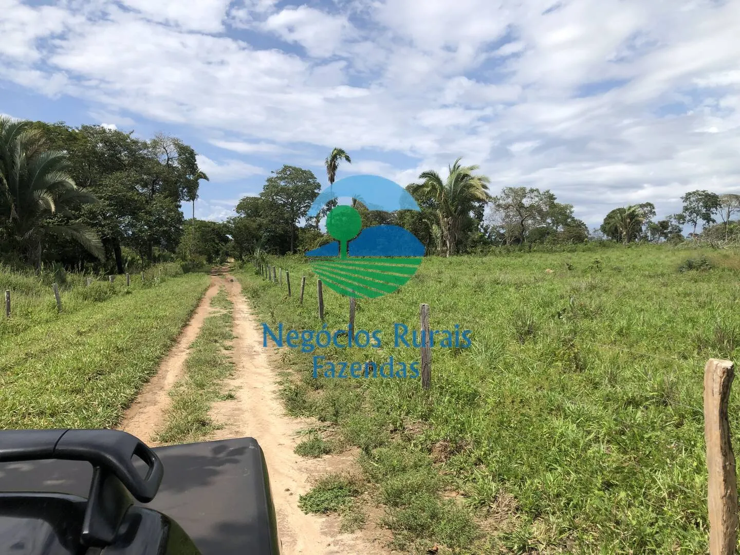 Fazenda à venda de 363 ha em Niquelândia, GO, Brasil