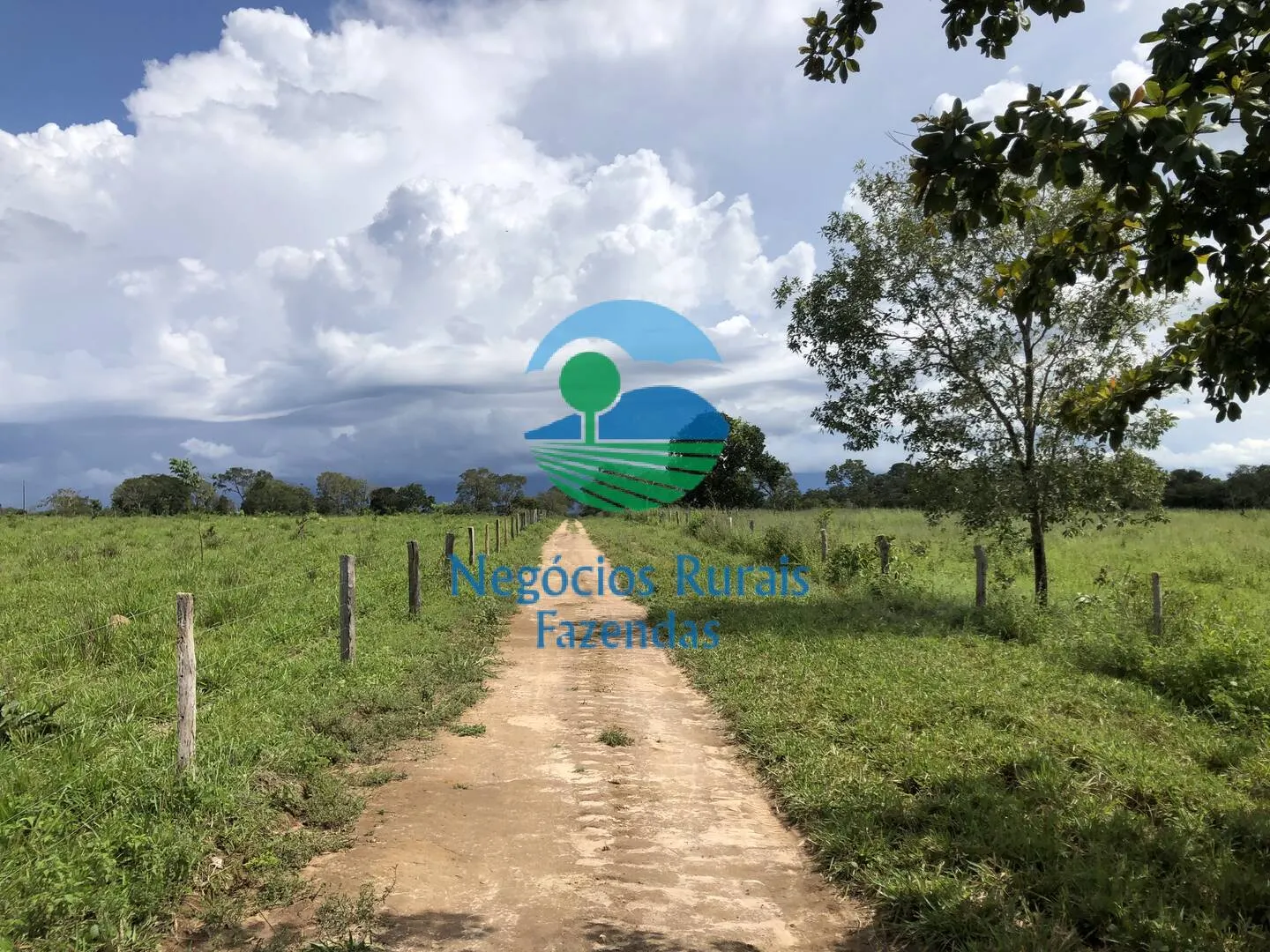 Fazenda à venda de 363 ha em Niquelândia, GO, Brasil