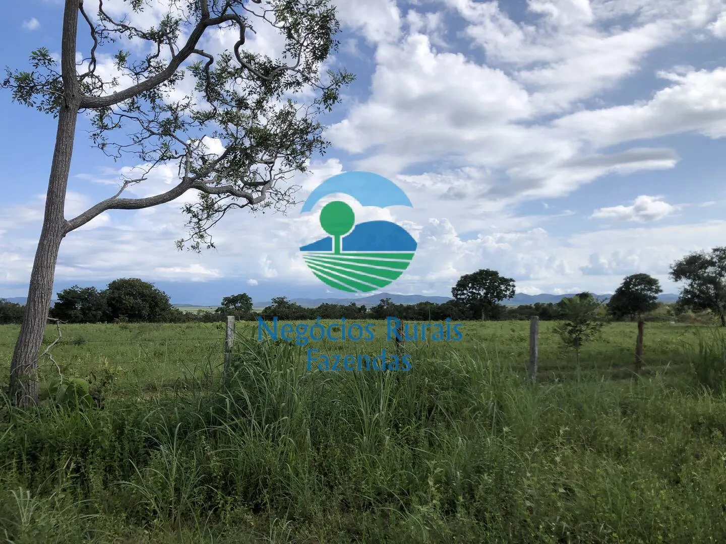 Fazenda à venda de 363 ha em Niquelândia, GO, Brasil
