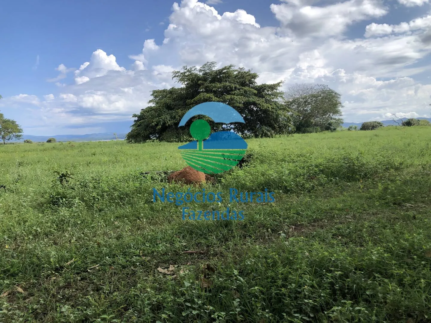 Fazenda à venda de 363 ha em Niquelândia, GO, Brasil
