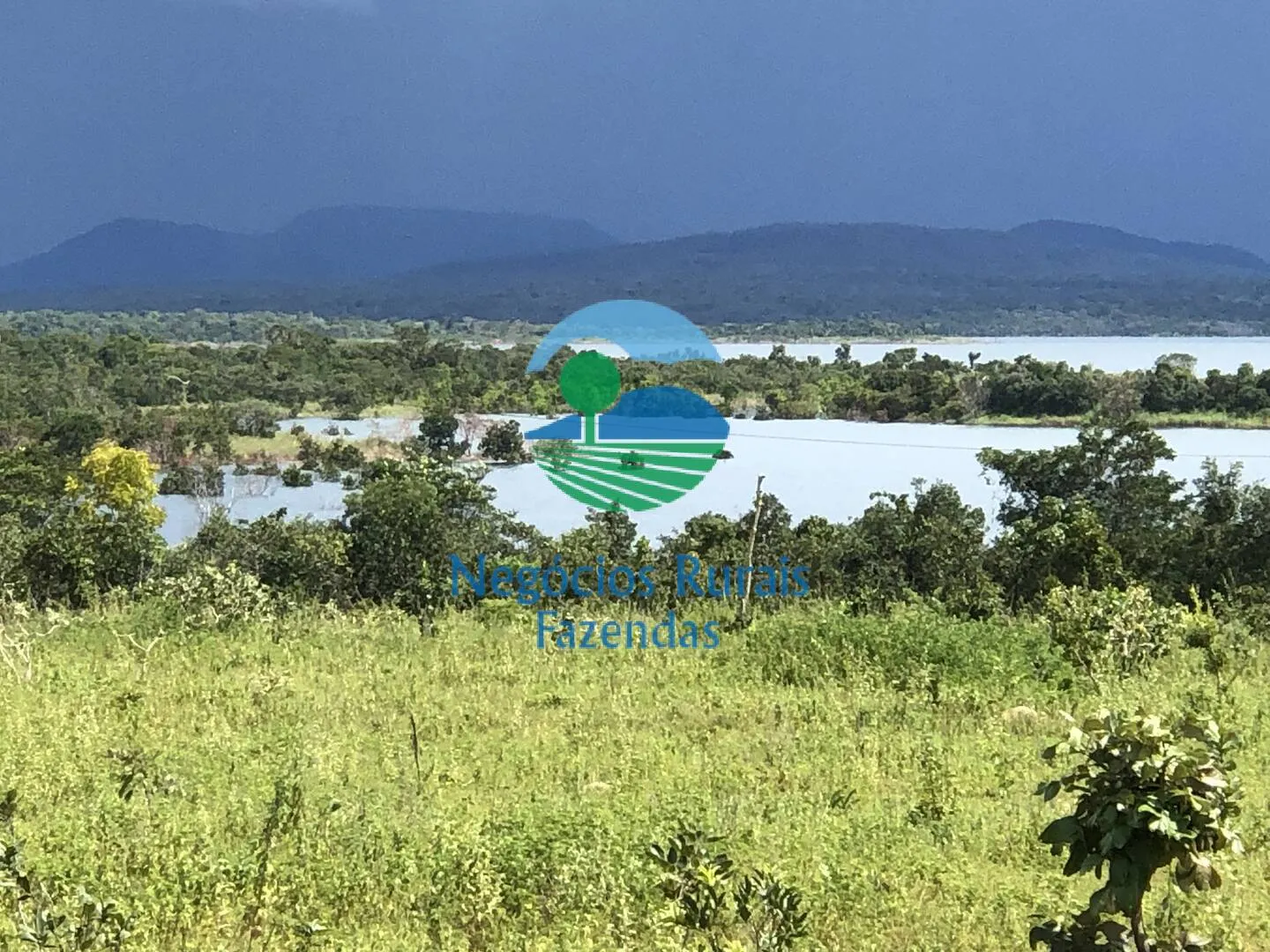 Fazenda à venda de 363 ha em Niquelândia, GO, Brasil