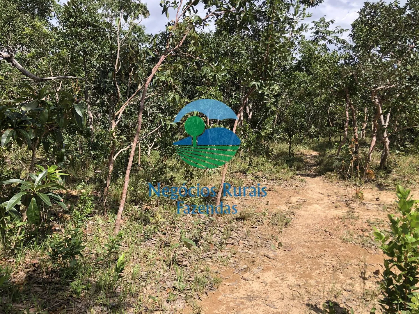 Fazenda à venda de 363 ha em Niquelândia, GO, Brasil