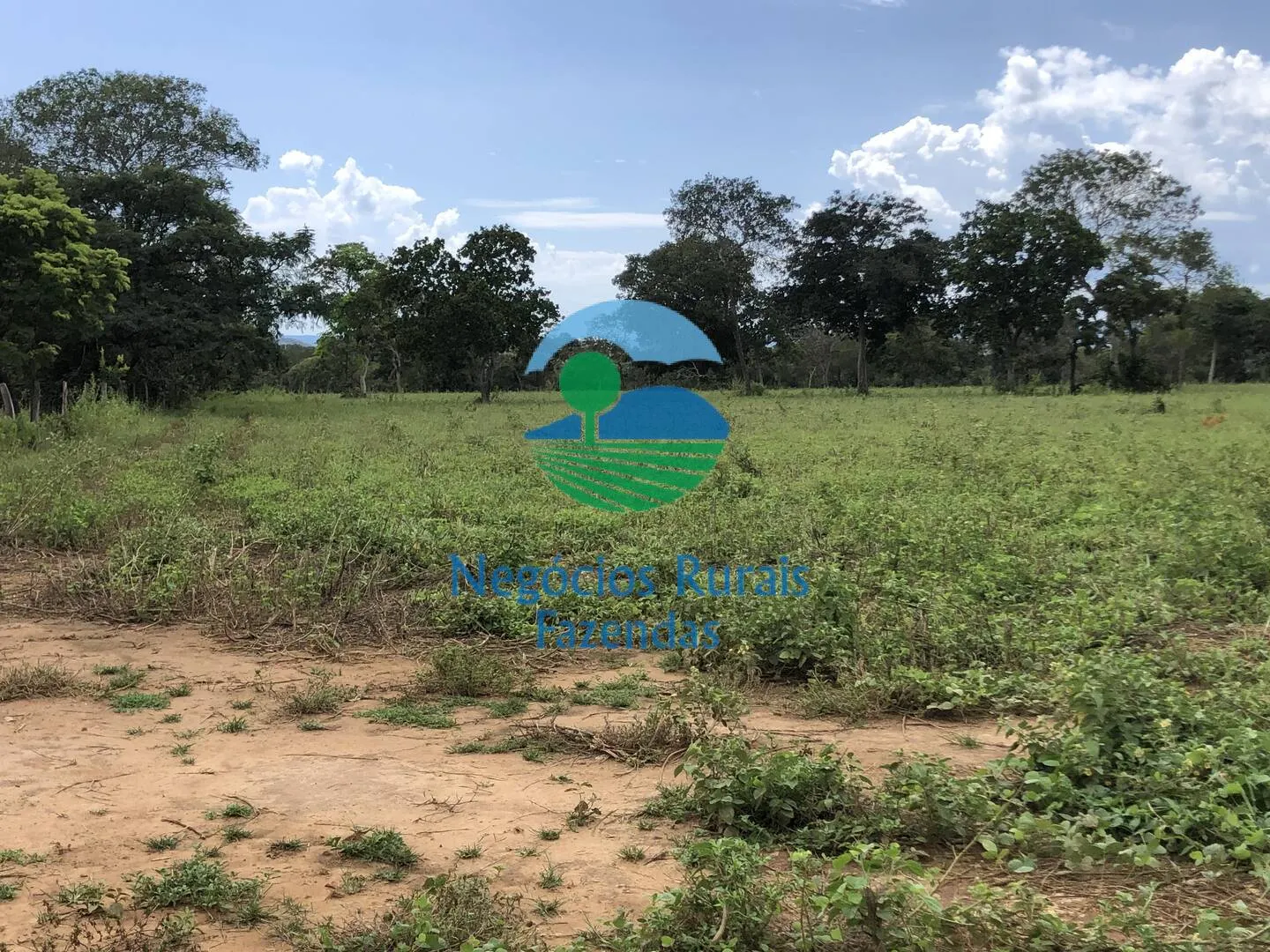 Fazenda à venda de 363 ha em Niquelândia, GO, Brasil