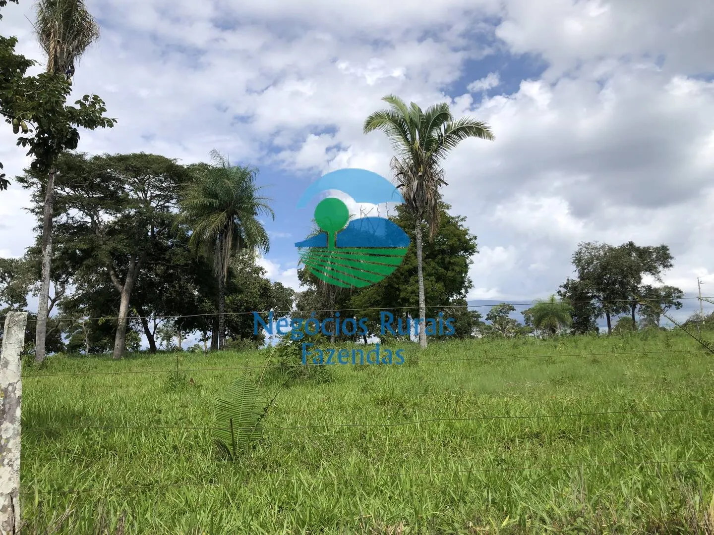 Fazenda à venda de 363 ha em Niquelândia, GO, Brasil