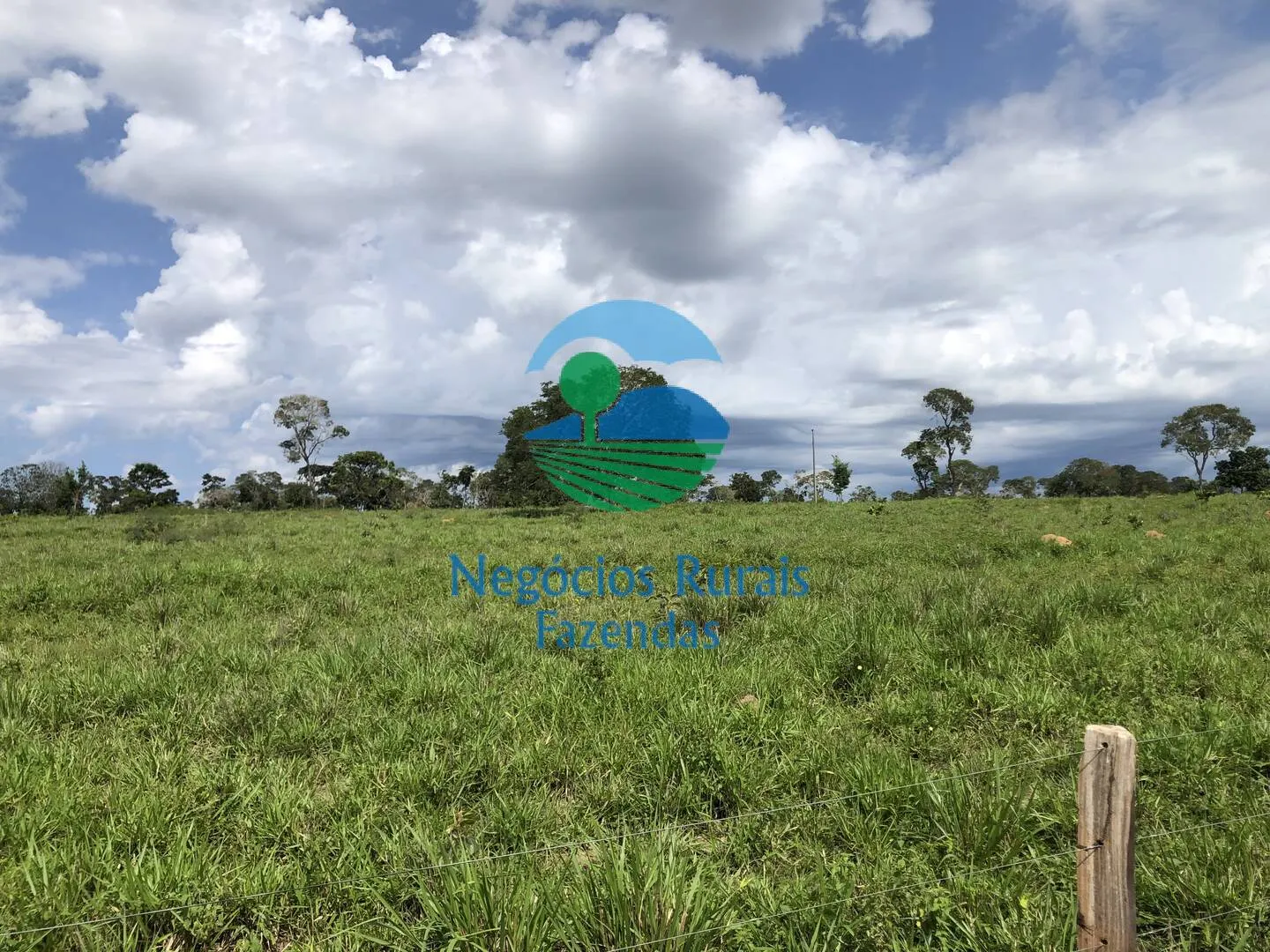 Fazenda à venda de 363 ha em Niquelândia, GO, Brasil