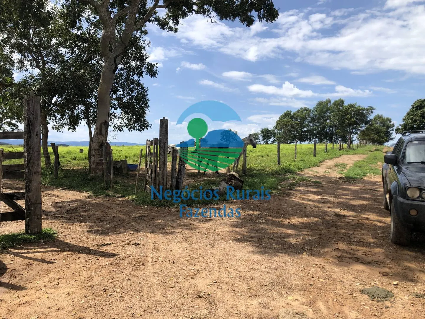 Fazenda à venda de 363 ha em Niquelândia, GO, Brasil