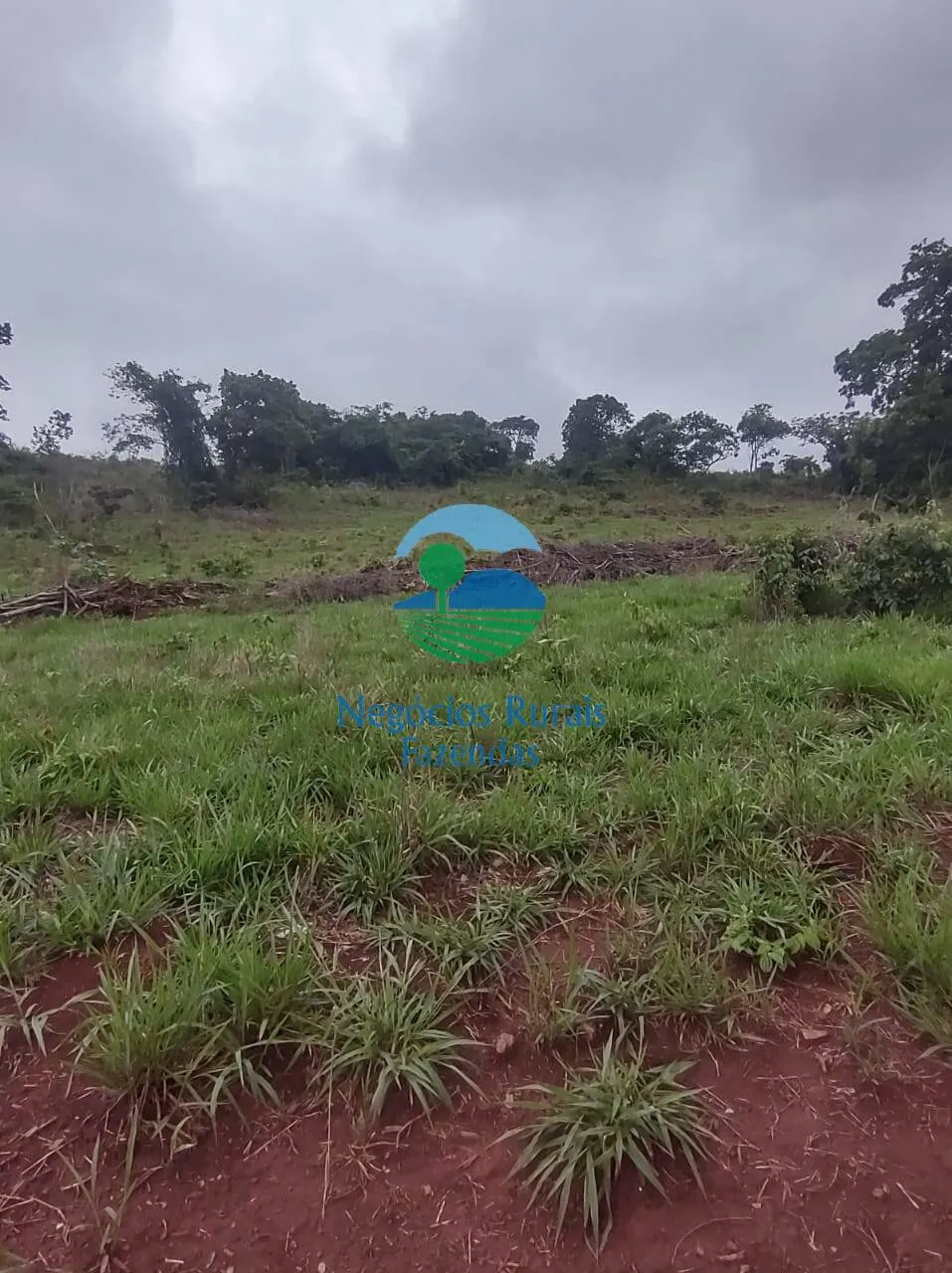 Fazenda à venda de 363 ha em Niquelândia, GO, Brasil