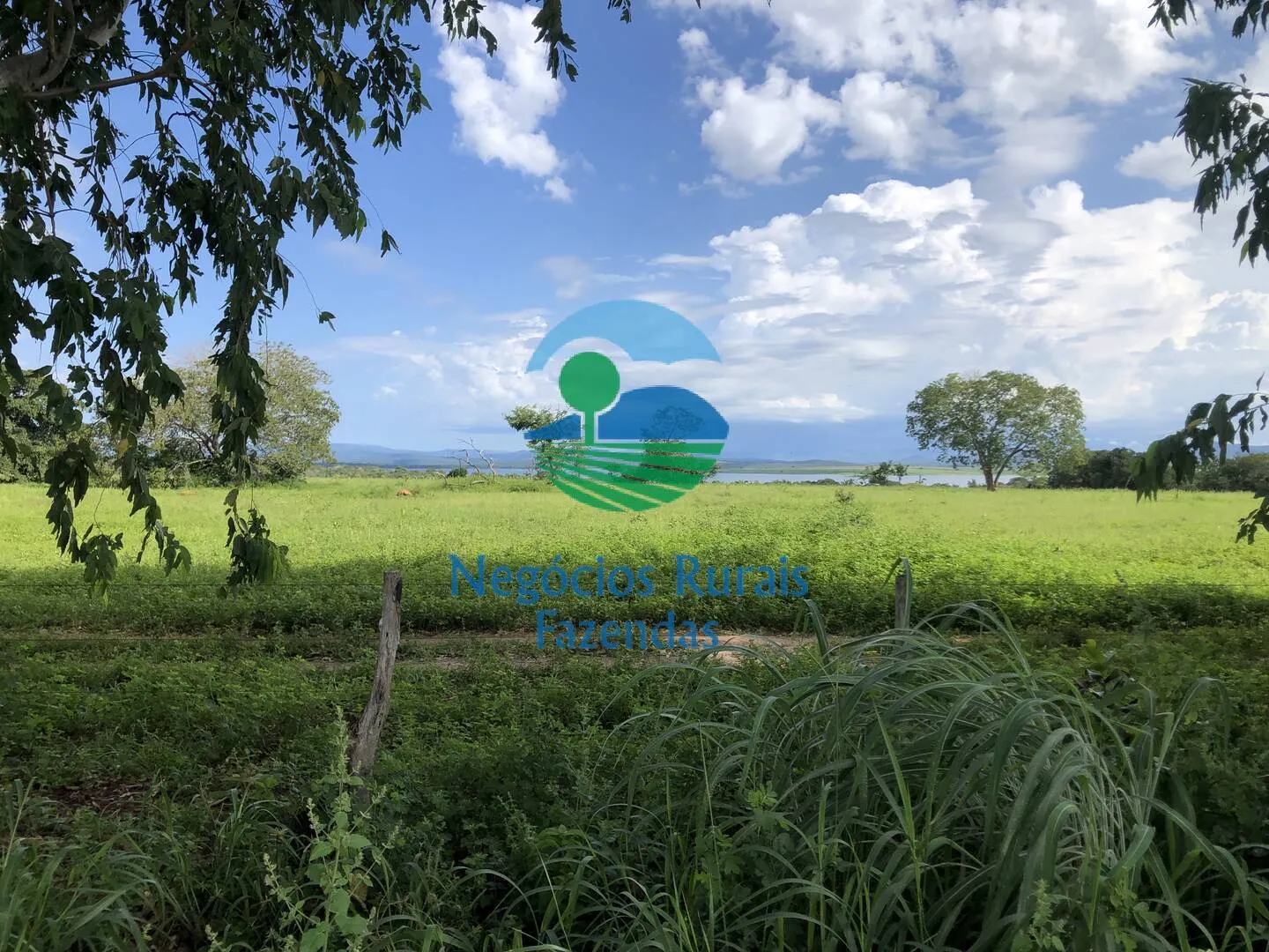 Fazenda à venda de 363 ha em Niquelândia, GO, Brasil