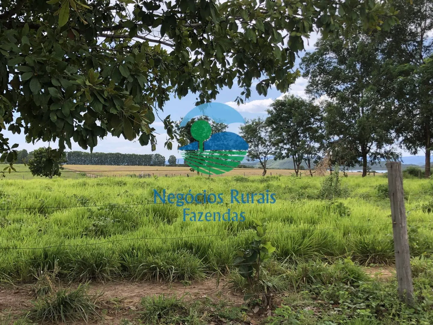 Fazenda à venda de 363 ha em Niquelândia, GO, Brasil