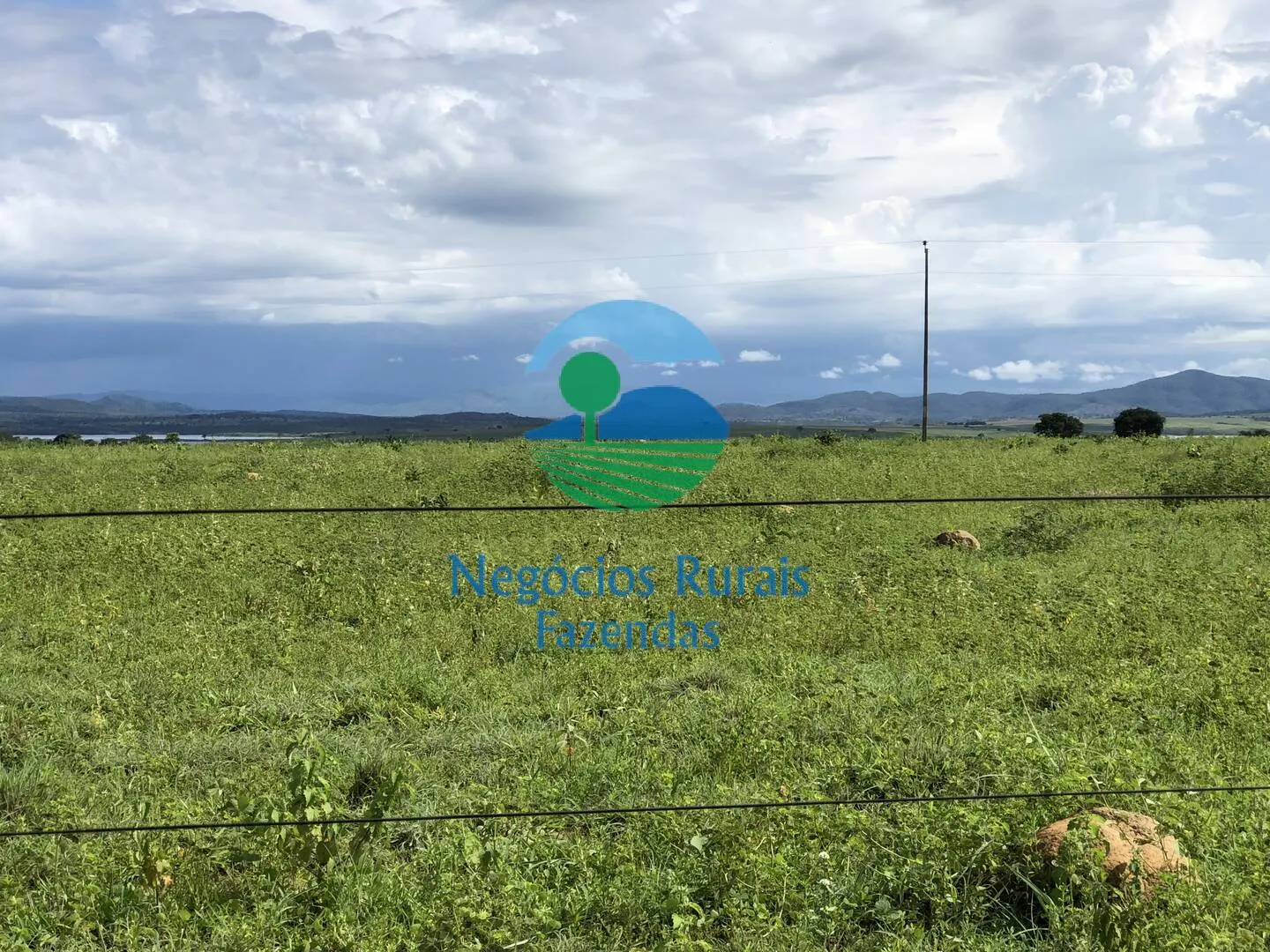 Fazenda à venda de 363 ha em Niquelândia, GO, Brasil