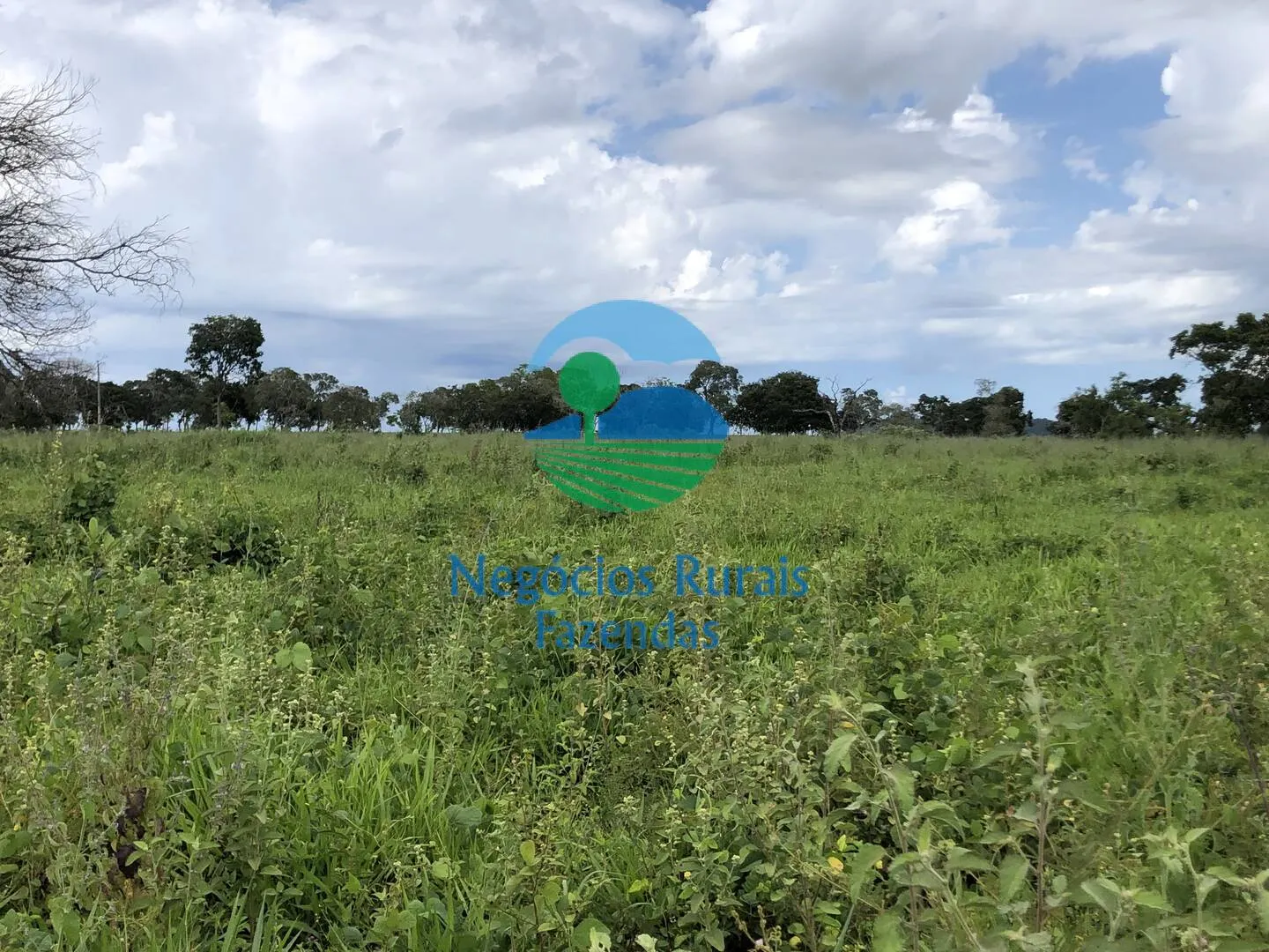 Fazenda à venda de 363 ha em Niquelândia, GO, Brasil