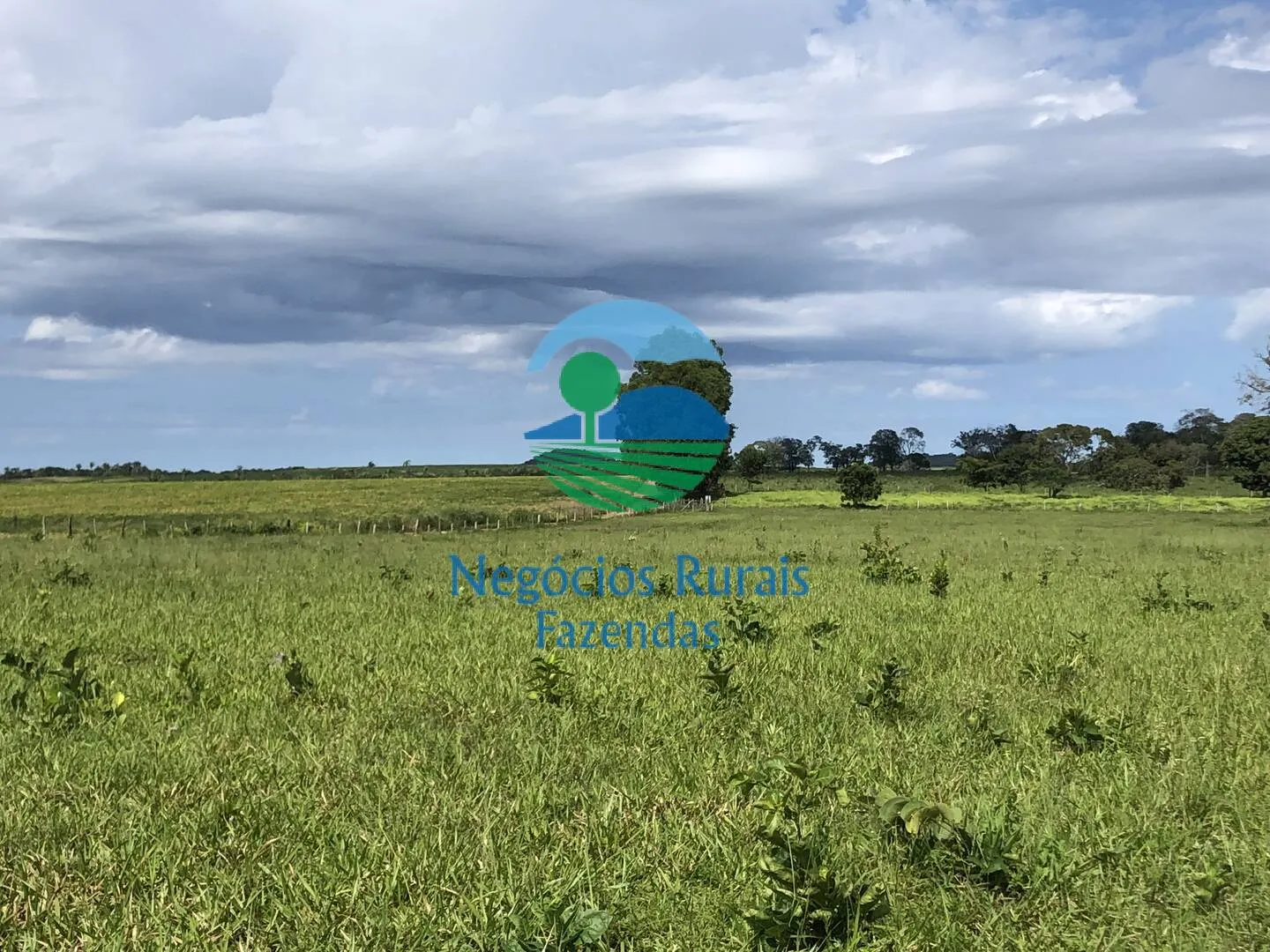 Fazenda à venda de 363 ha em Niquelândia, GO, Brasil