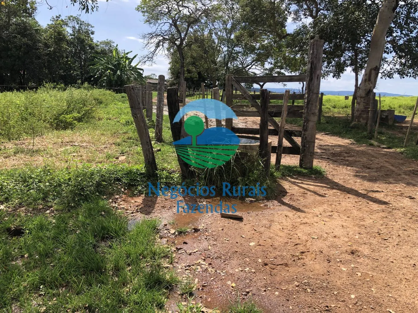 Fazenda à venda de 363 ha em Niquelândia, GO, Brasil