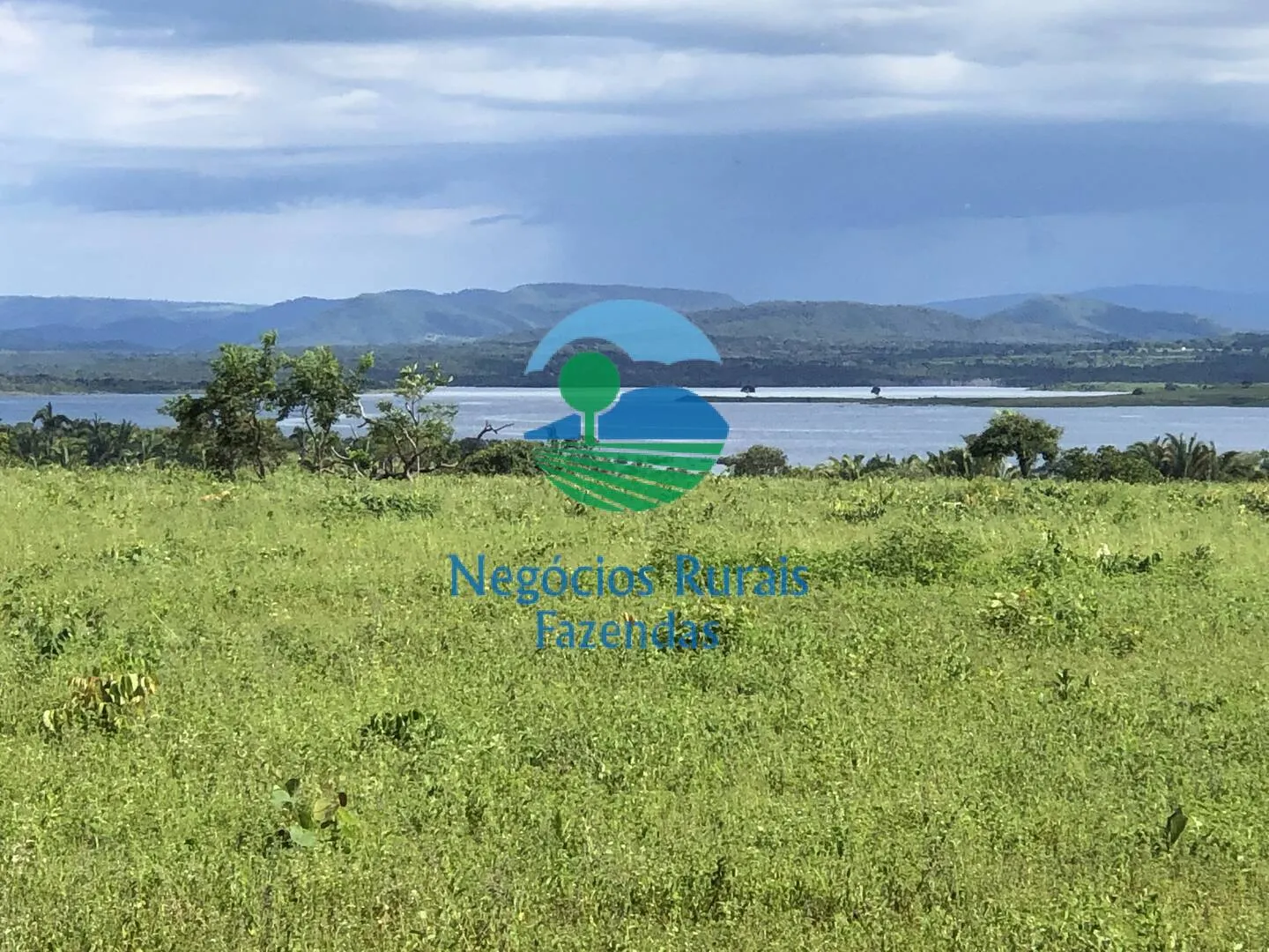 Fazenda à venda de 363 ha em Niquelândia, GO, Brasil