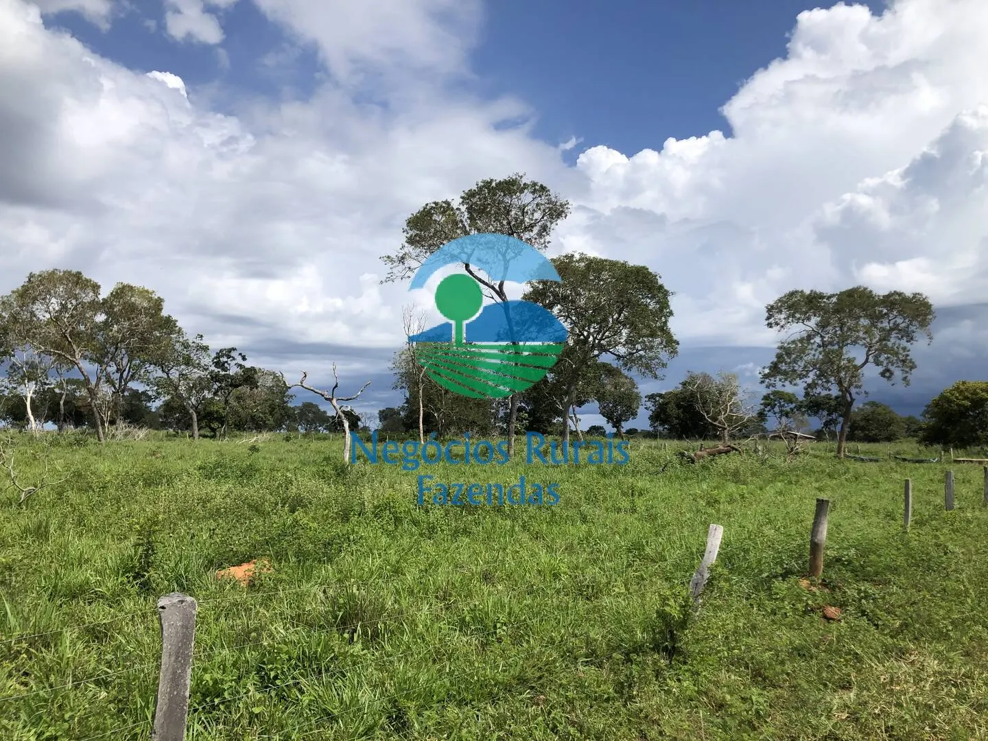 Fazenda à venda de 363 ha em Niquelândia, GO, Brasil