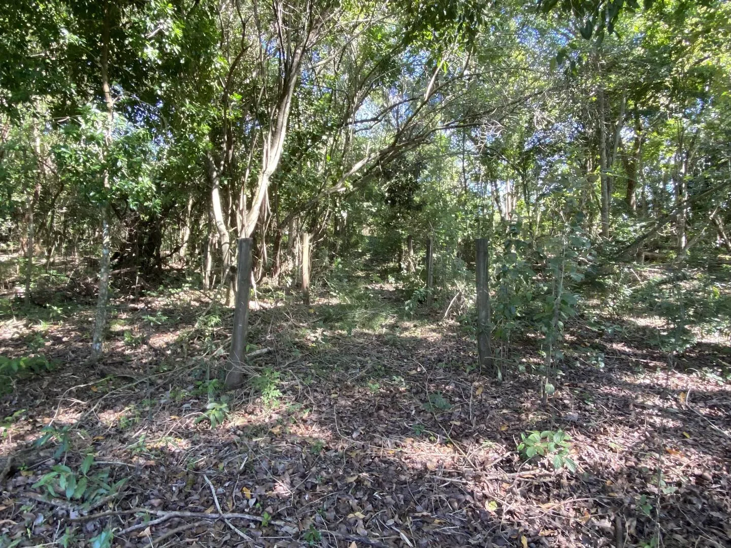 Chácara à venda de 2 ha em Piraju, SP, Brasil